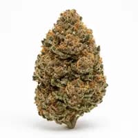 Cherry Kush