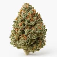 Cherry Pie