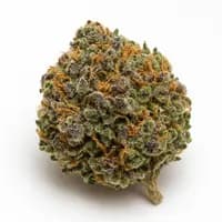 Cherry Punch