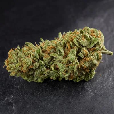 Choco Haze