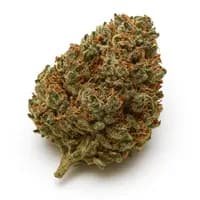Chocolate Diesel