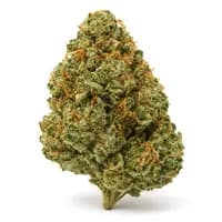 Chronic