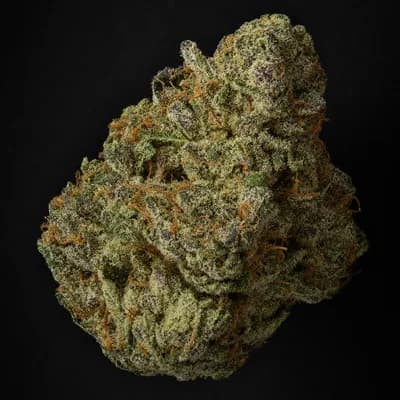 Chunky Skunk