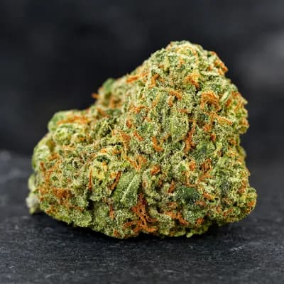 Citrus Tsunami