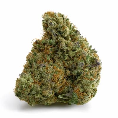 CLOWN OG