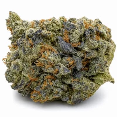 Cote Blue