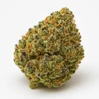 Critical Kush
