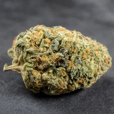 Dank Gas