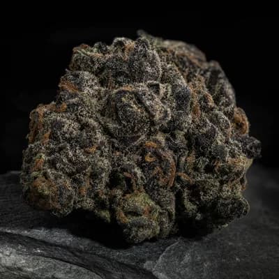 Death Cookies HCE