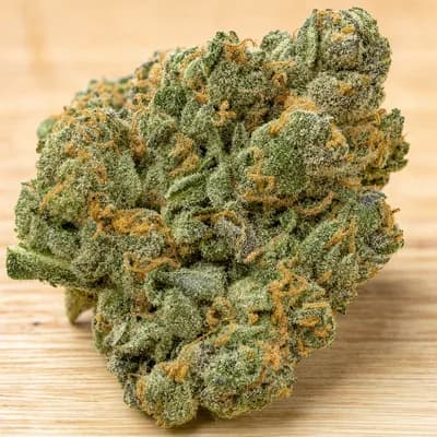 Dolato THC 24