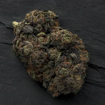 Double Death Bubba