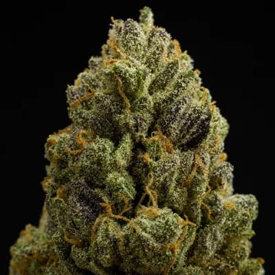 Dragon Breath
