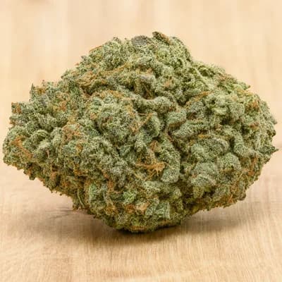 Dreamwave Haze