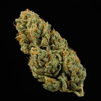 Durban Poison Budder