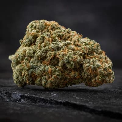 Eagle Cookies 23