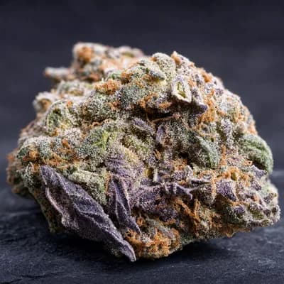Electric Cherry