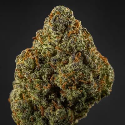 Electric Koolaid