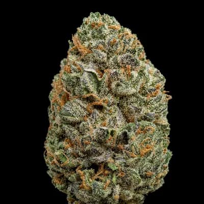 Euphoria Haze
