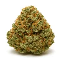 Exodus Cheese