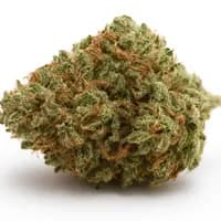 Forbidden Fruit