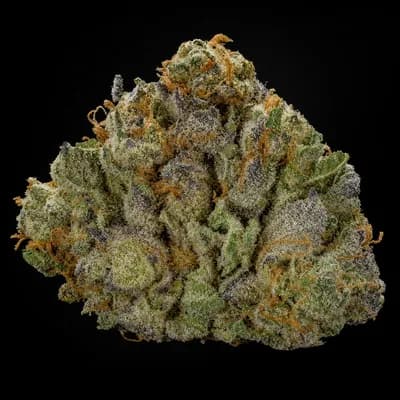 Frosted Donut