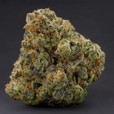 Frozen Gelato