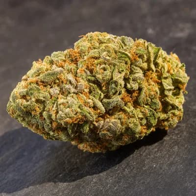 Fruit Loops Budder