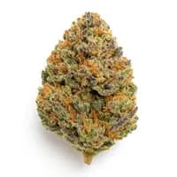 Fruit Punch
