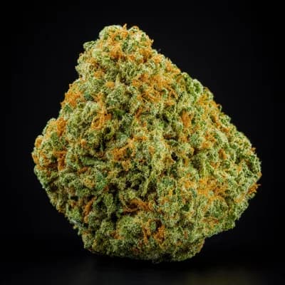 Funky Lemon Strain 28