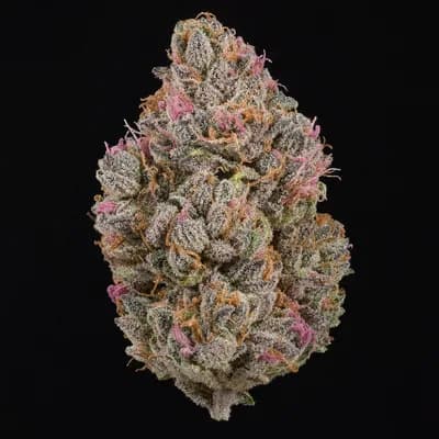 Galaxy Pink