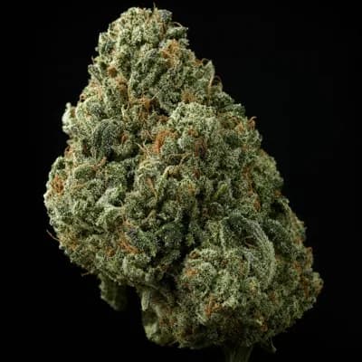 Garlic Sherbert