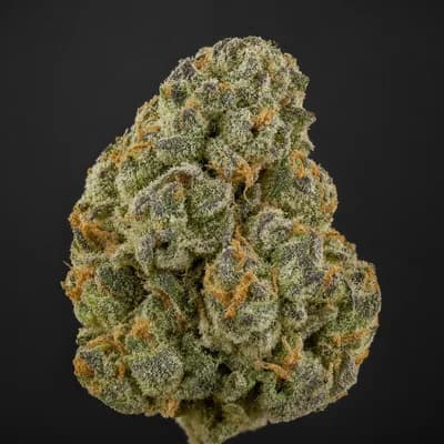 Gas