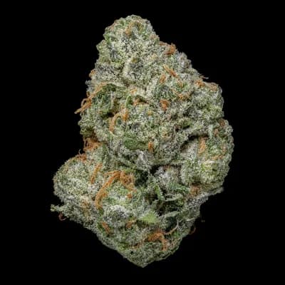 GAS BUBBA