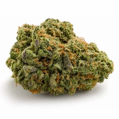 Gas Truffle