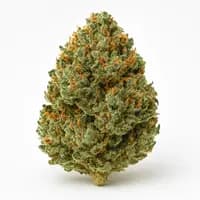 Gelato