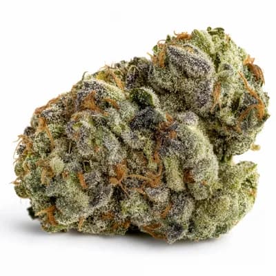 Gelato Cookies