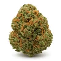 GG4