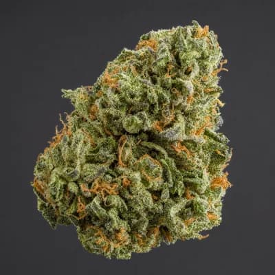 Ghost O G