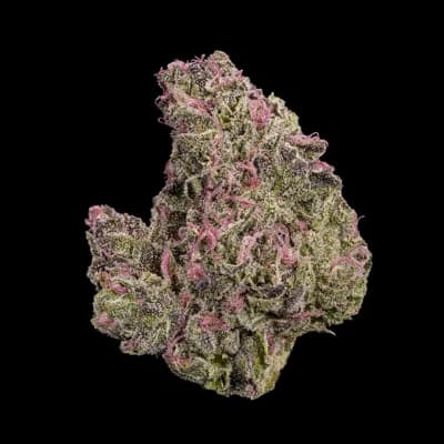 Ghost Pink