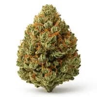 Ghost Train Haze