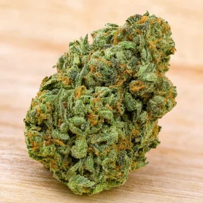 Girl Scout Cookies
