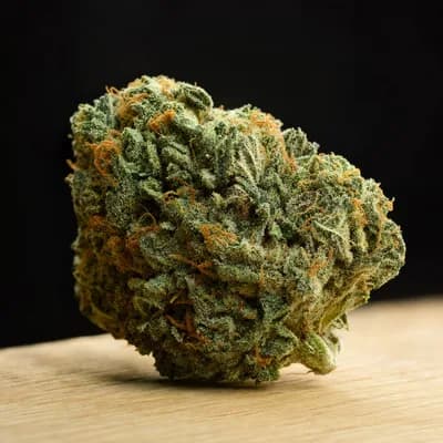 GMO Fuel