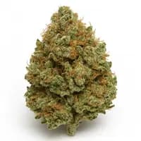 Godfather OG
