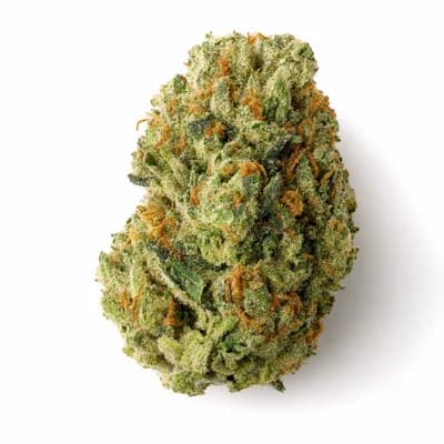 Gorilla Glue