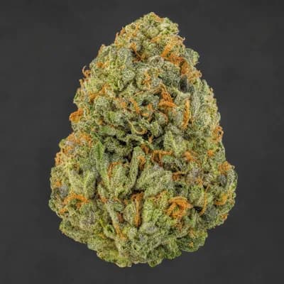Gorilla Glue 4