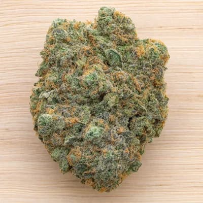 Gorilla Grip