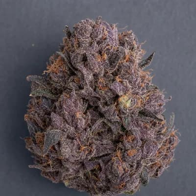 Grand Daddy Purple