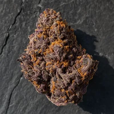 Grape Romulan
