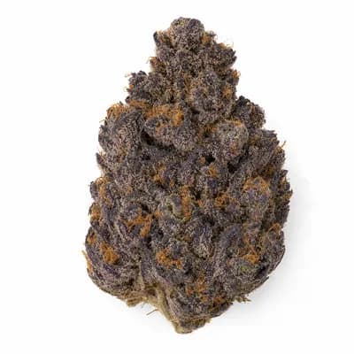 Grape Tartz