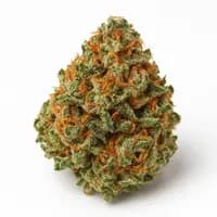 Grease Monkey
